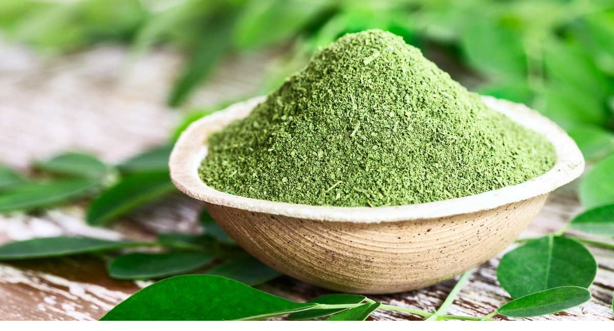 Moringa Powder